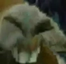dxd emote