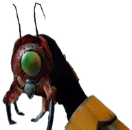Snark emote