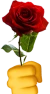 Rose emote