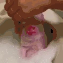 PiggyChill emote
