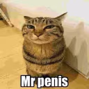 mrpenis emote