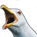 seagull emoji