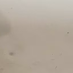 23 emote