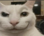 Osi emote