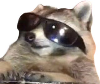 Raccoon_cool emote