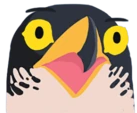 omg emote