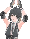 roverPyon emote