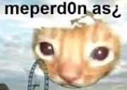 meperd0nas emote