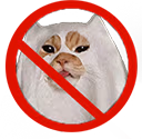 NoCatGhoust emote