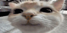smile emote