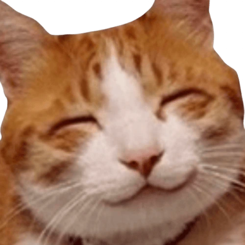 catsmile emote