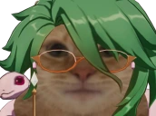 BAIZHU emote