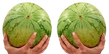 Melons emote