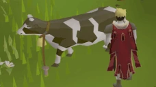 MILKING emote
