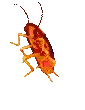 CockroachDance emote