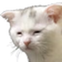 TiredCat emote