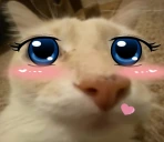 doseuwu emote