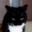 Evil emote