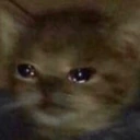 CE_SadCat11 emote