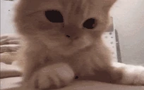 grustnoblin emote
