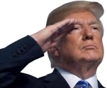 o7 emote