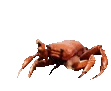 crabrave emote