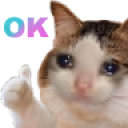 sadCatOK emote