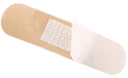 bandge_opened emote