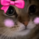 meowCute emote