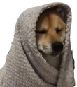 mikiCozy emote
