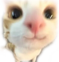 33 emote