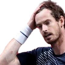 facepalm emote
