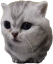 meo emote