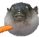 pufferfish emote