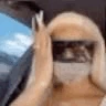 vibe4 emote