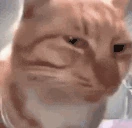 SUS emote