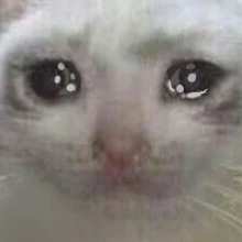 despair emote