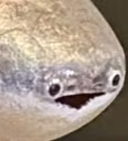 fish emote