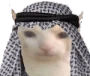 HalalCat emote