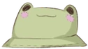FroggyHat emote