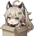 boxCat emote