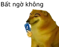 CheemsReverse emote