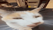 BLEHSniff emoji