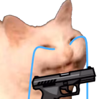 sadcattogun emote