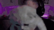 meow2 emote