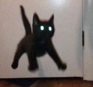 EEK static emote