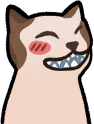 smiling_cat emote
