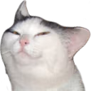 smolcat emote