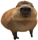 gort emote