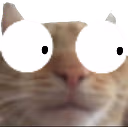 wtf emote